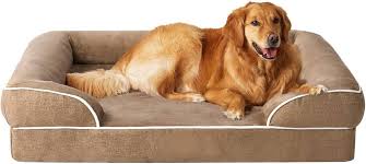 golden retriever sleeping on an orthopedic dog bed